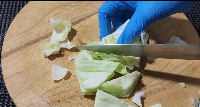 Cut the cabbage, carrots, chives, and celery.