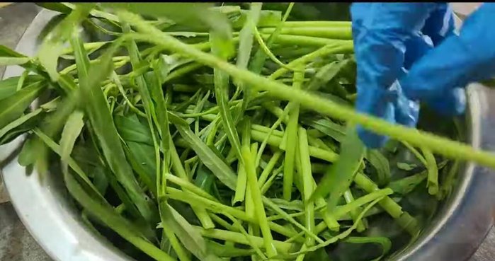 Pick and thoroughly wash the morning glory 2-3 times.