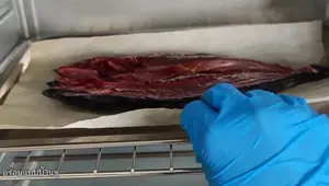 Salt-Baked Bonito: A Simple, Healthy Recipe