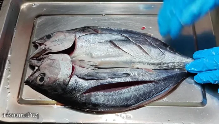 Season the bonito: Sprinkle salt gradually over the fish, followed by sugar and ground pepper. Mix well.
