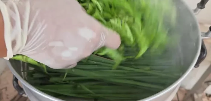 Steam the chicken: Line the steamer with lemongrass leaves. Place the marinated chicken on top. Steam for approximately 1 hour, or until tender.