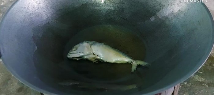 Fry the mackerel: Fry until cooked.
