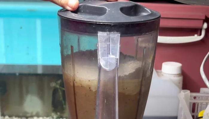 Blend briefly until just combined. Do not overmix.