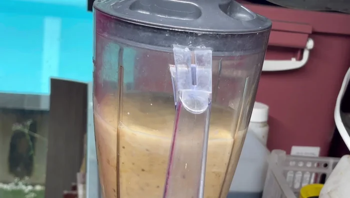 Blend until smooth.