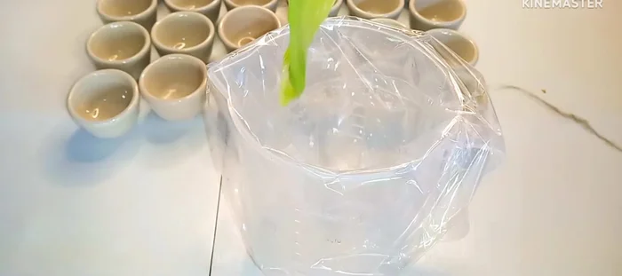 Transfer the cooked dough into a piping bag, seal it tightly, and cut a small hole at the end.