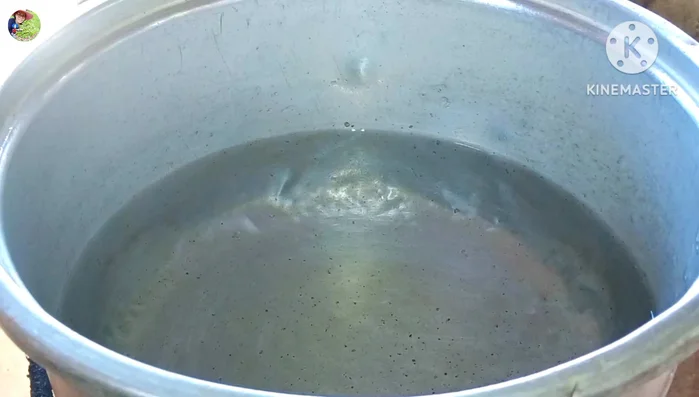 In a pot, combine 1500ml of water, 400g of prepared ginkgo nuts, and sugar (adjust to taste).