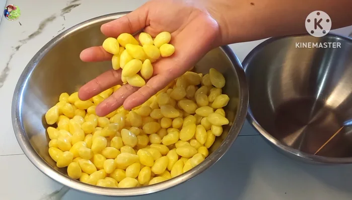 Wash ginkgo nuts thoroughly and rinse several times.